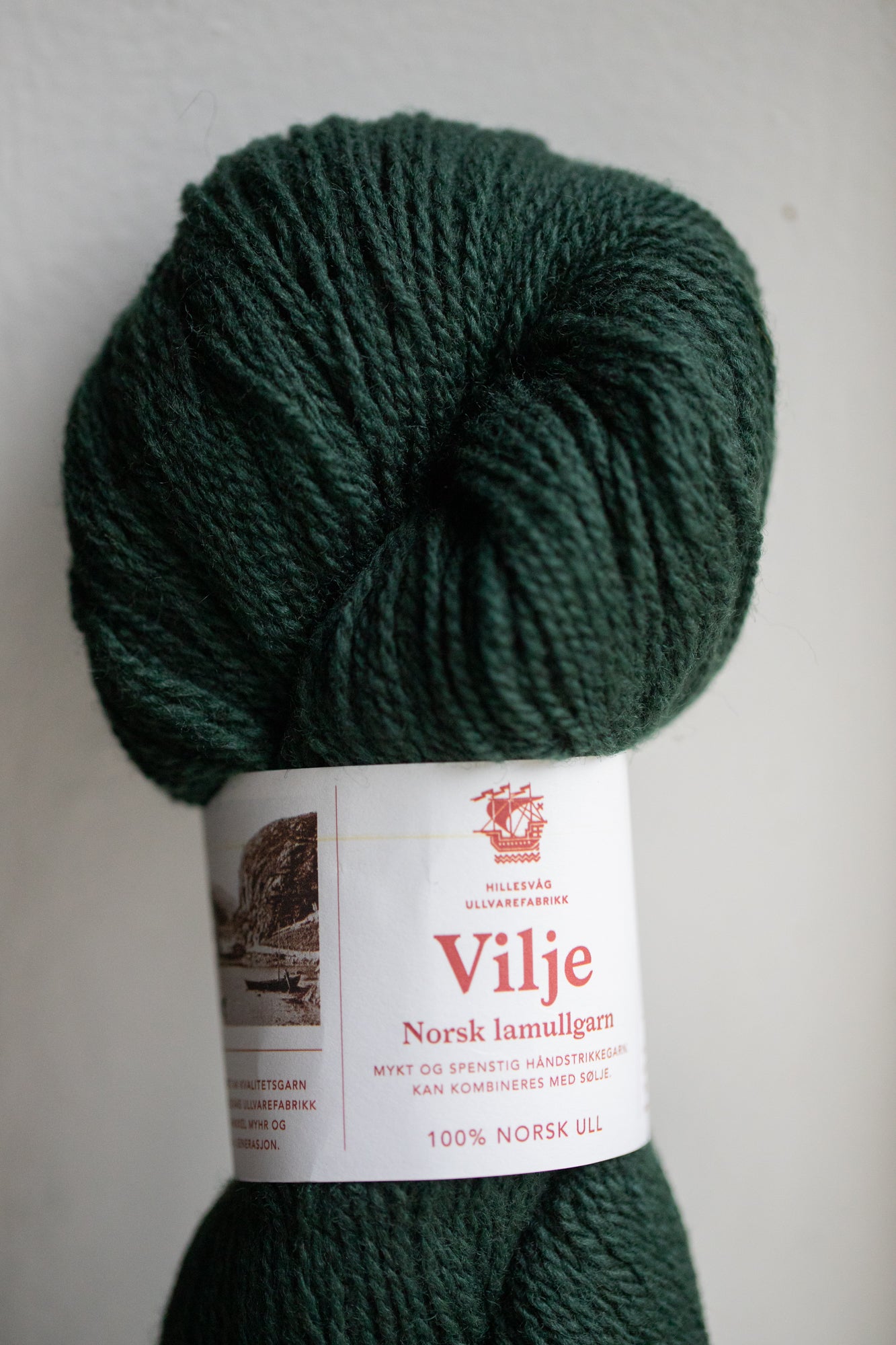 Hillesvåg Vilje