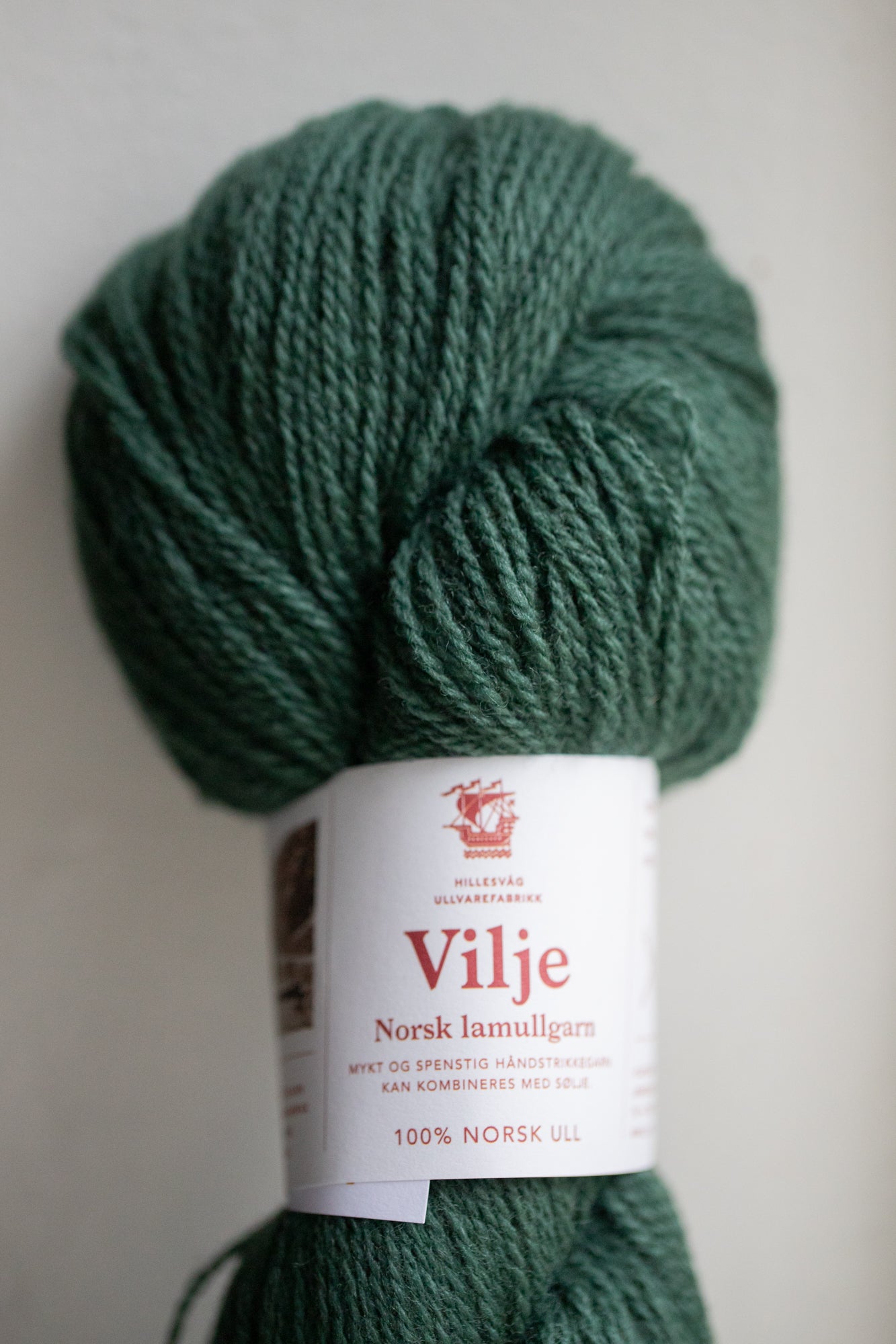 Hillesvåg Vilje