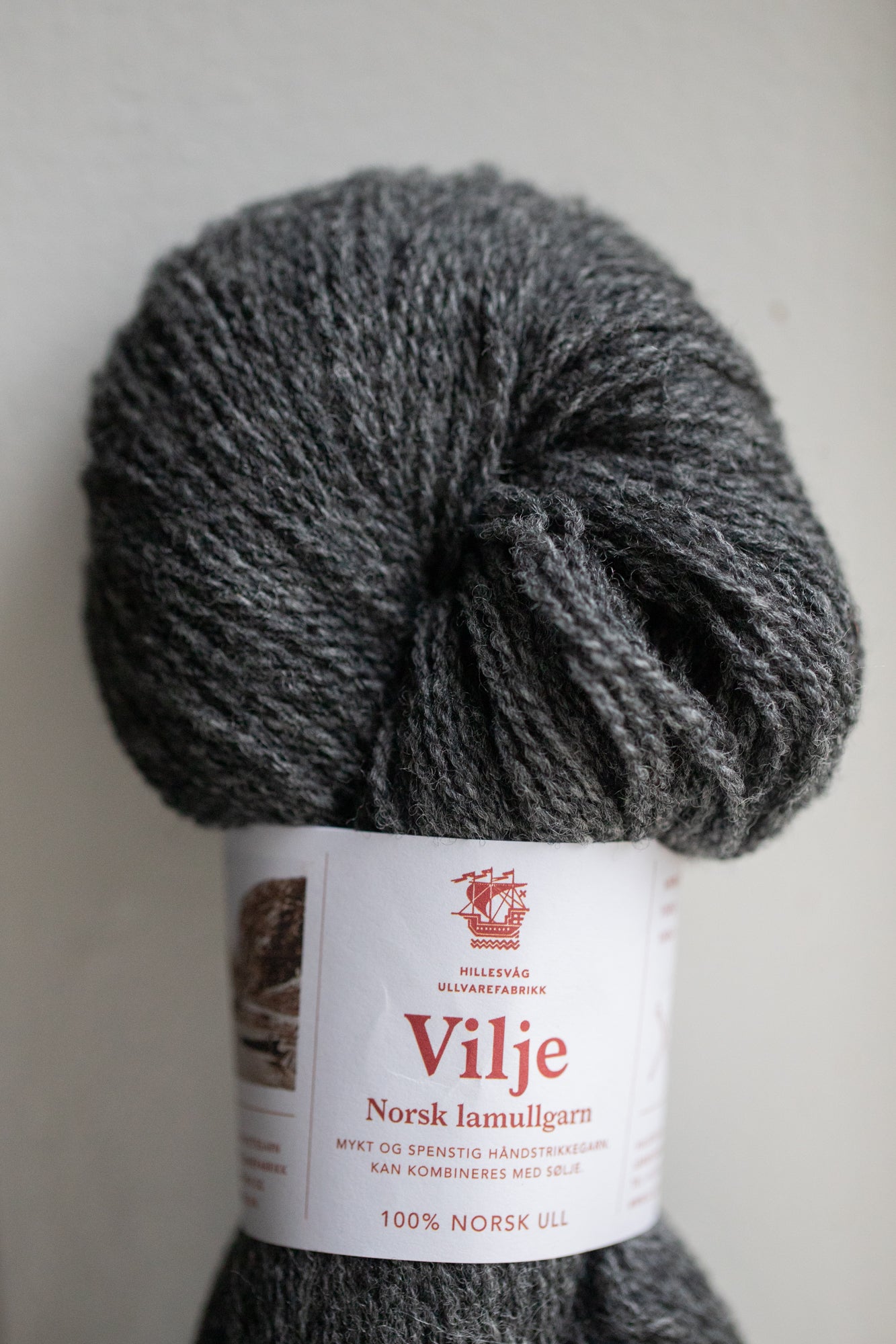 Hillesvåg Vilje