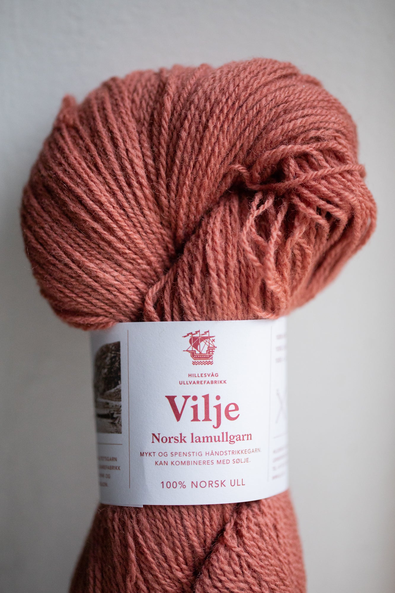 Hillesvåg Vilje