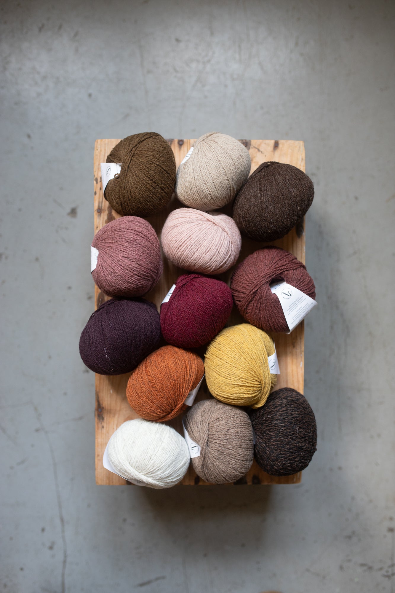 Xolla Wool Pastoreta