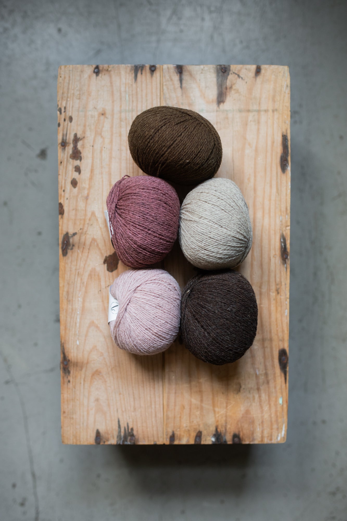 Xolla Wool Pastoreta