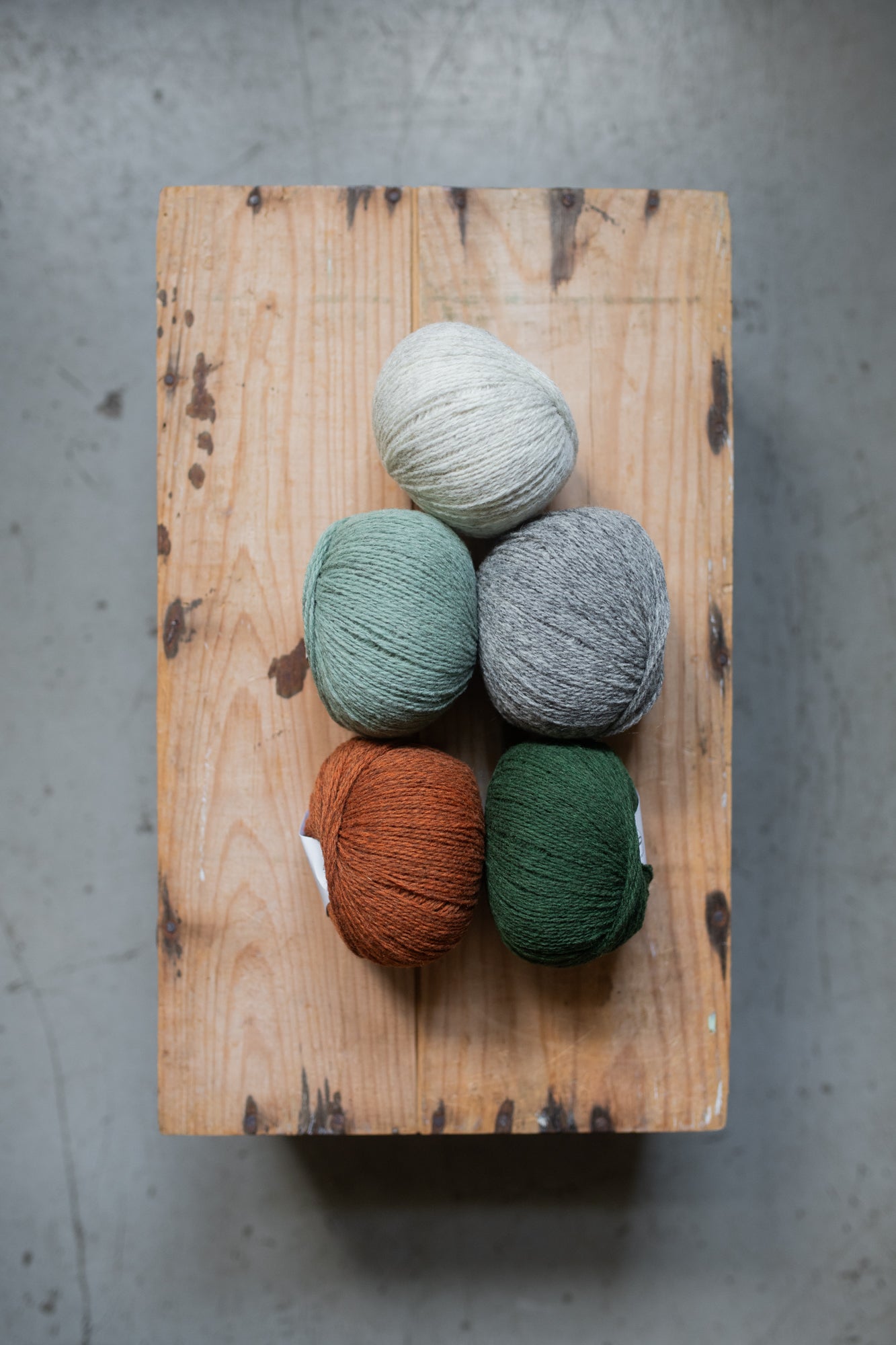 Xolla Wool Pastoreta