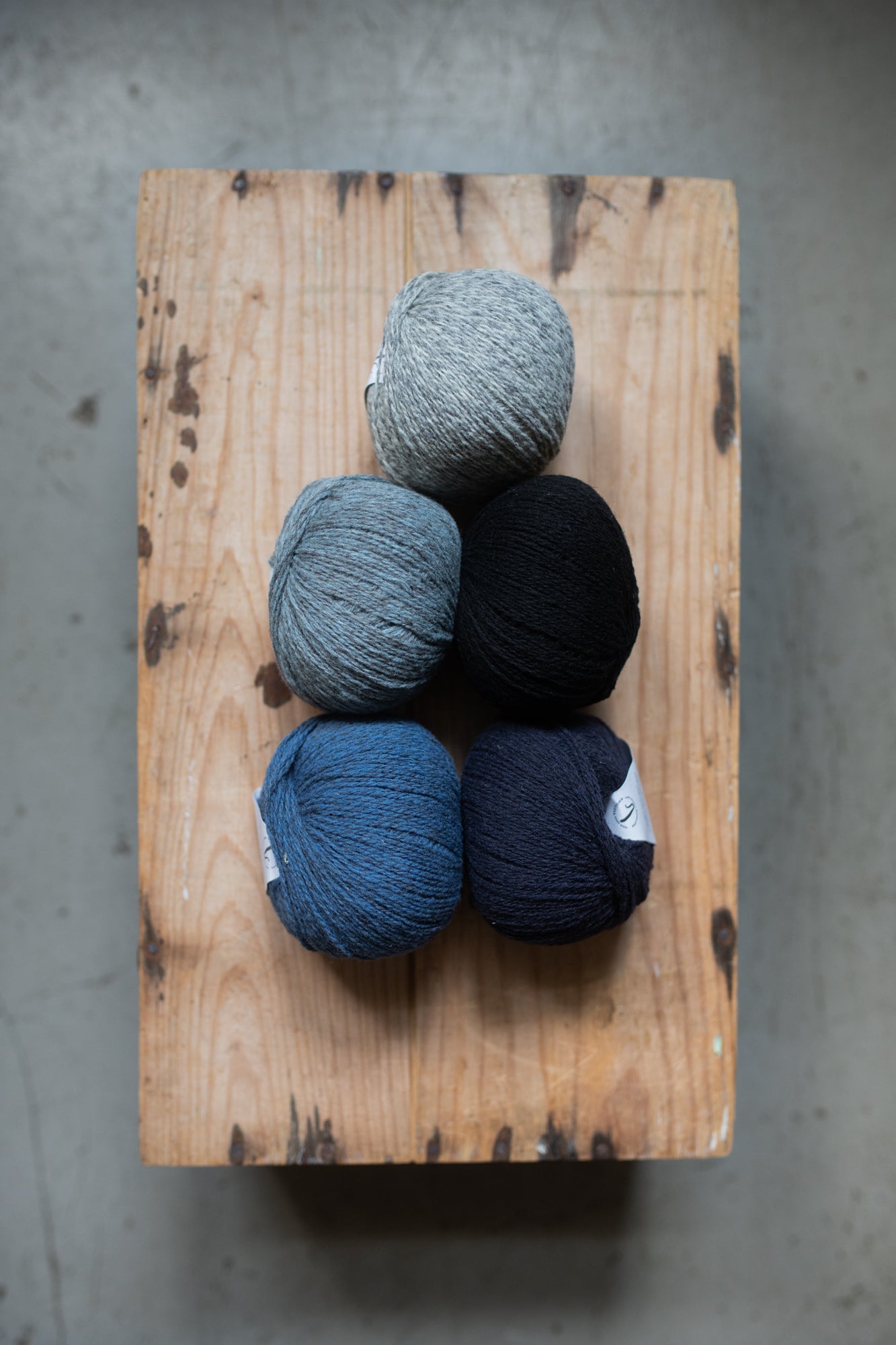 Xolla Wool Pastoreta