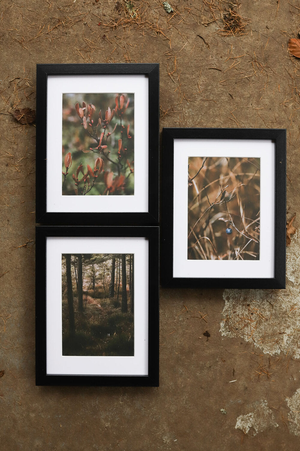 Fine art photography prints