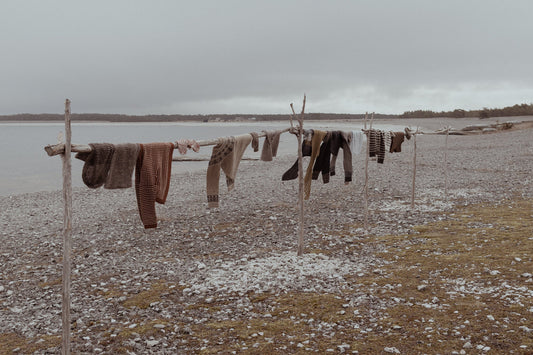 Mars nyhetsbrev - Ön och skogen!