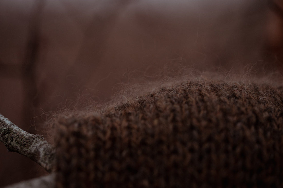 Nyhetsbrev: november 2025