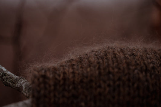 Nyhetsbrev: november 2025