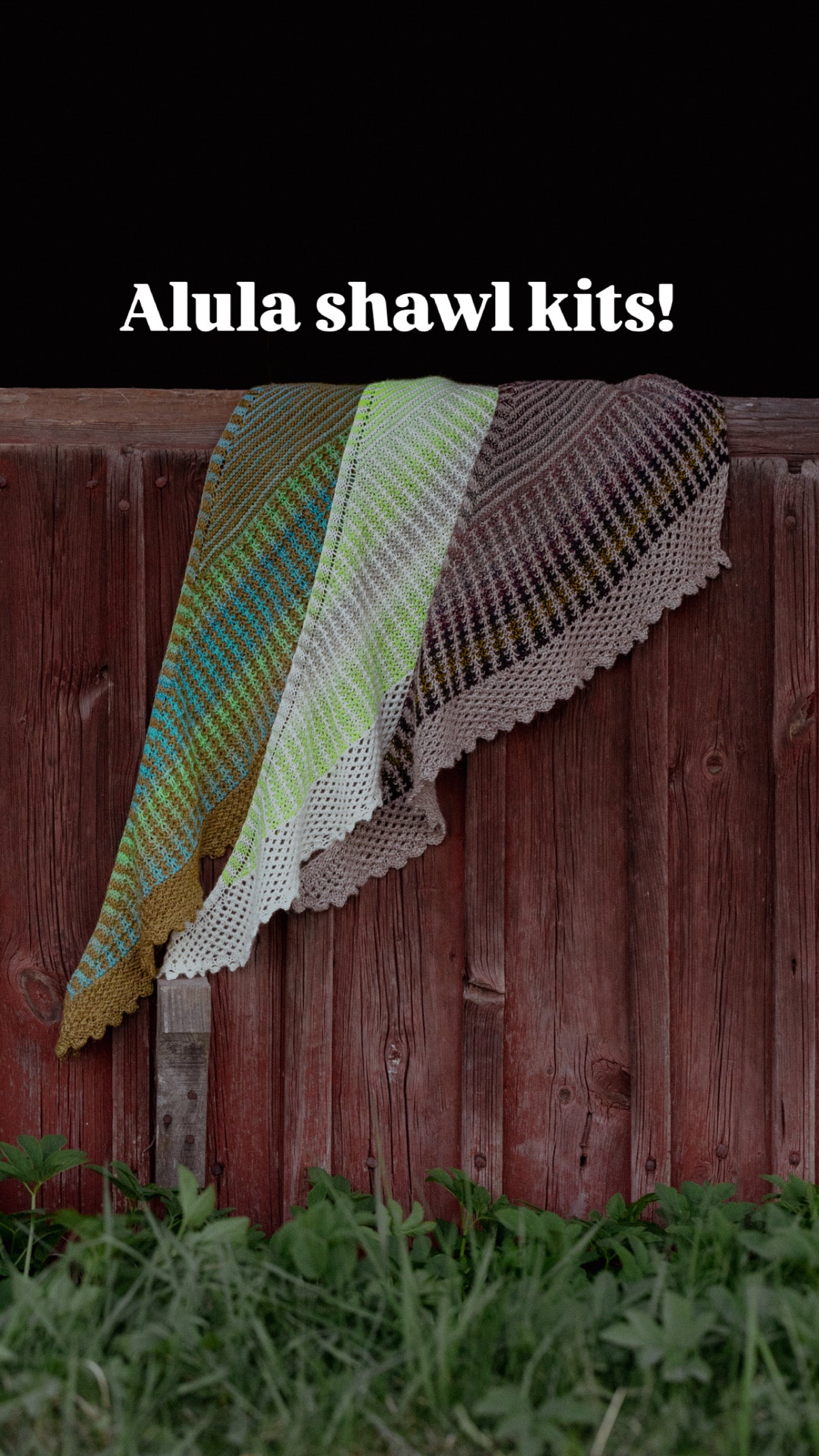 Alula Shawl kit