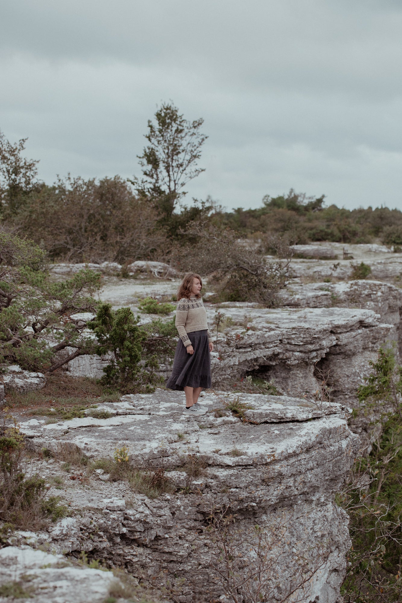 The Island and the Forest: A Knitted Correspondence