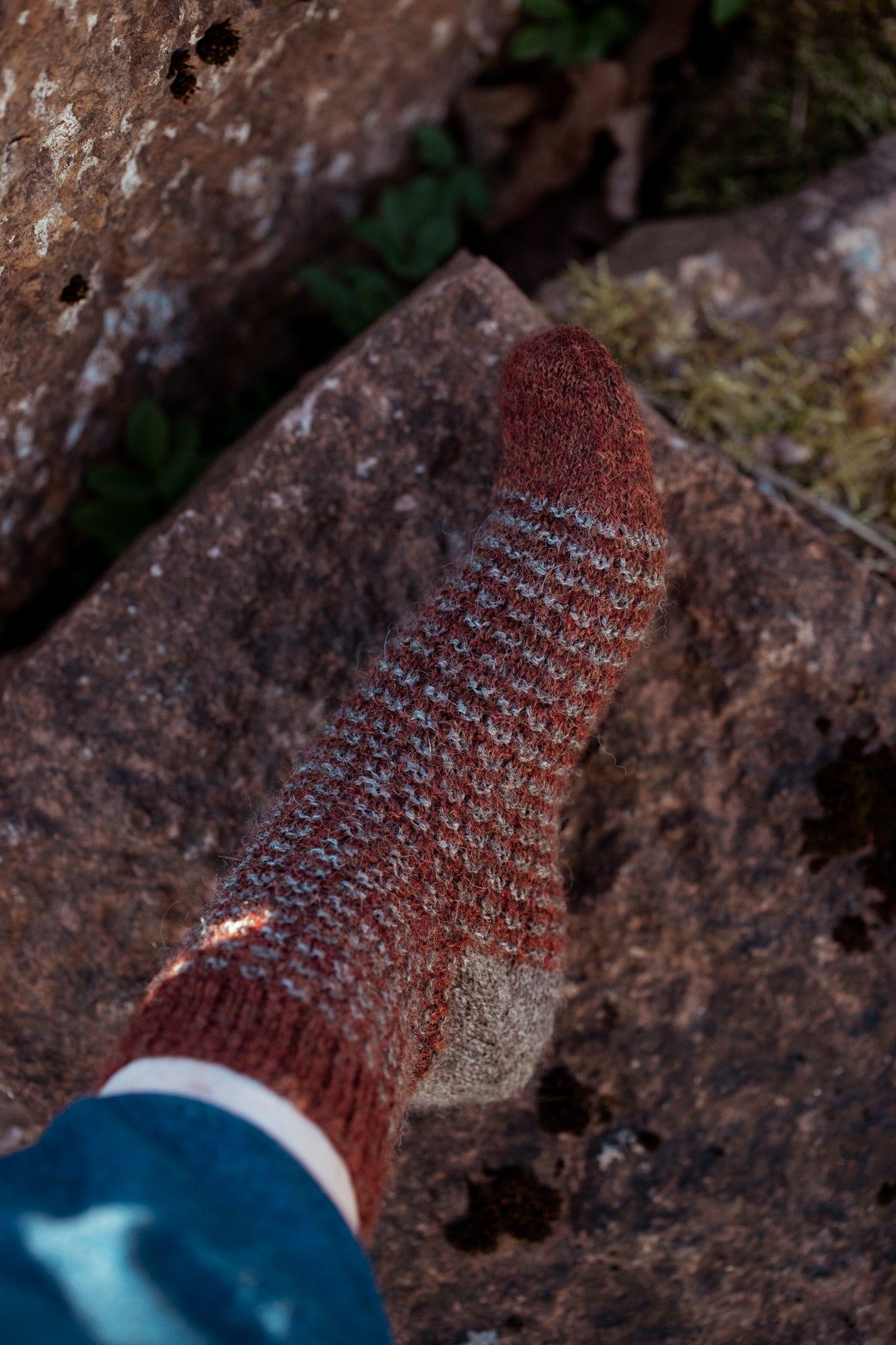 Fossil Socks Kit